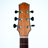 G.R. Bear OMC Lutz Spruce/Australian Blackwood