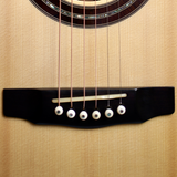Heinonen SJ European Spruce/Brazilian Rosewood