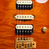 Marchione Set-Neck Carved Top Honey Burst