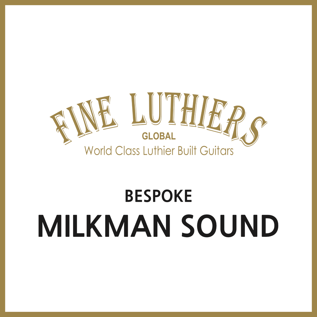 Milkman Sound The Amp 50W – Fine Luthiers